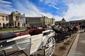 Travel photography:Fiakers (horse carts for tourists) in front of the neue Burg in Vienna´s  Hofburg, Austria