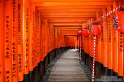 Schreine und Tempel in Kyoto