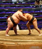 Travel photography:Makushita ranked wrestlers in a bout at the Nagoya Sumo Tournament, Japan