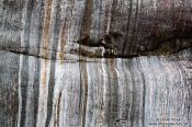 Travel photography:Sanding marks left by the Franz Josef Glacier on rocks in the river bed, New Zealand