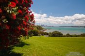 Travel photography:MJ Savage memorial park in Auckland, New Zealand