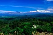 Travel photography:Distant view of the Central Plateau with Tongariro Ntl Park, New Zealand
