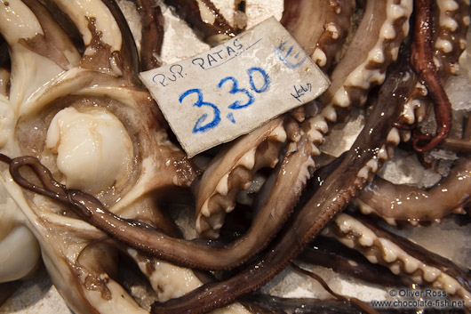 Octopus for sale at the Bilbao food market