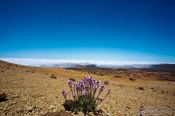 Travel photography:View of Teide National Park, Spain