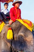 Travel photography:Tourists riding on an elephant through Ayutthaya, Thailand
