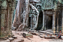 Kambodscha: Diese Galerie enthält Bilder aus der Hauptstadt Phnom Penh, dem südlichen Mekong, der alten Hauptstadt Oudong (Odonk), aus Battambang und dem Tonle Sap See, von der Südküste mit Sihanoukville und Kampott, sowie von den berühmten Tempeln in Angkor.