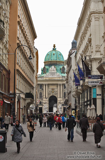 Entrance to the Vienna Hofburg from the city centre