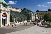 Travel photography:The Palm and Butterfly house in Vienna´s Burggarten, Austria