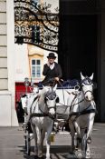 Travel photography:A Fiaker (horse cart for tourists) in Vienna´s  Hofburg, Austria
