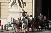 Travel photography:Fiakers (horse carts for tourists) entering Vienna´s  Hofburg, Austria