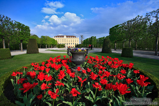 Schönbrunn palace gardens 
