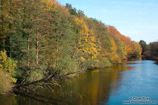 Trees along the Schwentine river near Kiel