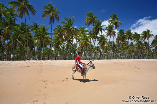 Boy riding a donkey on a Boipeba Island beach