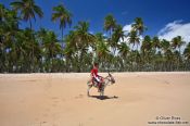 Travel photography:Boy riding a donkey on a Boipeba Island beach, Brazil