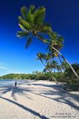 Travel photography:Boipeba Island beach palm trees, Brazil