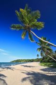 Travel photography:Beach with palms on Boipeba Island, Brazil