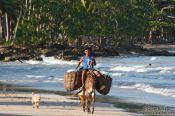 Travel photography:Man on Mule on Boipeba Island, Brazil