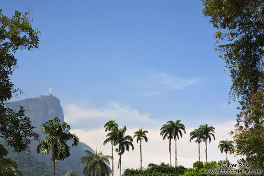 View of the Corcovado from within the Botanical Garden
