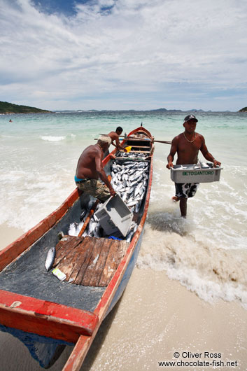 Fishermen landing their catch of bonito fish at Arraial-do-Cabo beach