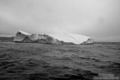 Travel photography:Iceberg off Bay Bulls in Newfoundland, Canada