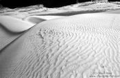 Travel photography:Sand Dunes near Diskit (Ladakh), India