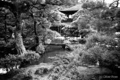 Travel photography:Kyoto Temple, Japan