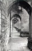 Travel photography:Winchester Cathedral Cloister, United Kingdom