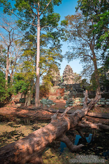 Moat and trees surrounding Banteay Kdei 