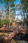Travel photography:Moat and trees surrounding Banteay Kdei , Cambodia