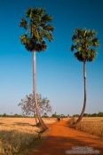 Travel photography:Road in the countryside near Odonk (Udong), Cambodia