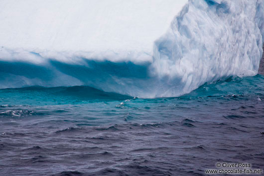 Iceberg close-up near Bay Bulls