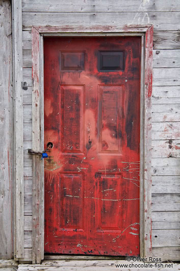 Red door of a shack in St. John´s harbour