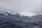 Travel photography:Iceberg near Bay Bulls, Canada
