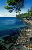 Travel photography:View from Juan de Fuca Trail, Vancouver Island, Canada