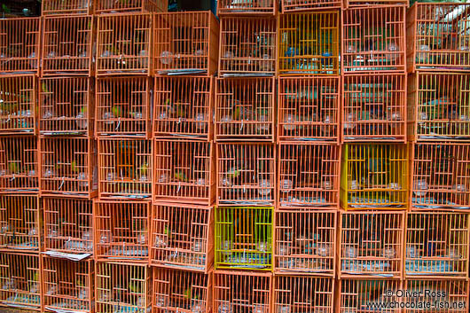 Cages at Hong Kong bird market 