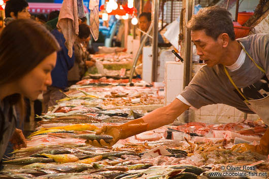 Hong Kong fish market 