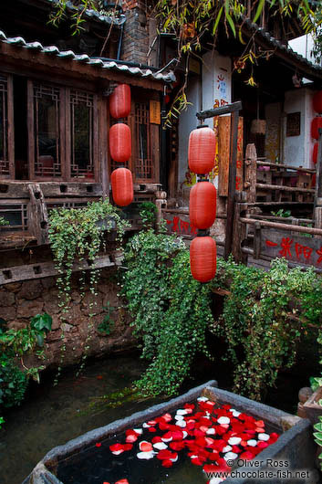 Rose petals in a water trough in Lijiang´s old town 