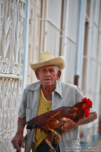 Old man with rooster in Trinidad