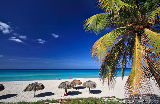 Sun umbrellas and palm tree on a beach in Varadero