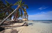 Travel photography:Palm trees with lighthouse at Cayo-Jutías beach, Cuba