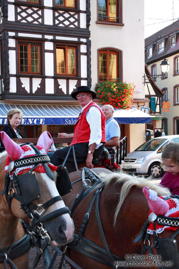 Man in traditional dress on a horse cart in Obernai