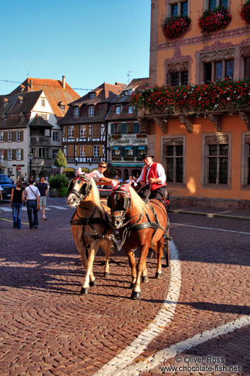 Driving tourists in a horse cart around Obernai
