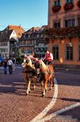 Travel photography:Driving tourists in a horse cart around Obernai, France