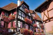 Travel photography:House "Zum Schnogaloch" in Obernai, France