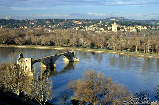 Old bridge in Avignon