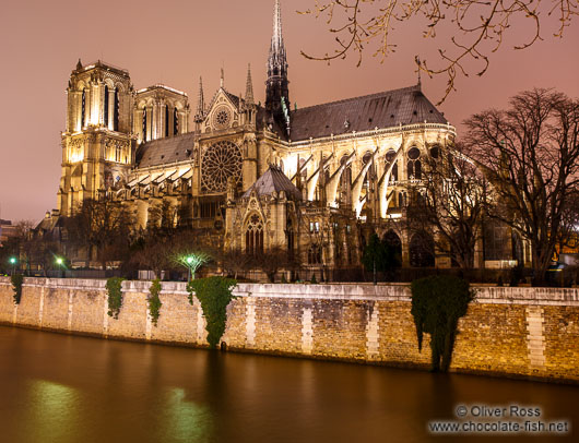 View of Notre Dame cathedral from across the Seine river