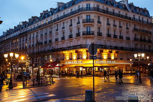 Paris café near Notre Dame cathedral
