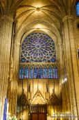Travel photography:Rose window inside the Notre Dame cathedral in Paris, France