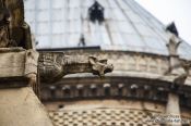 Travel photography:Gargoyle at Notre Dame cathedral in Paris, France
