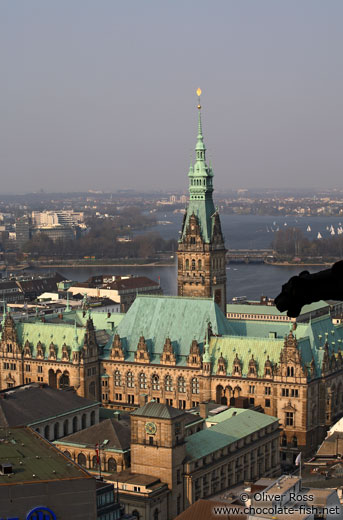 Aerial view of Hamburg`s Rathaus (City Hall) with gargoyle